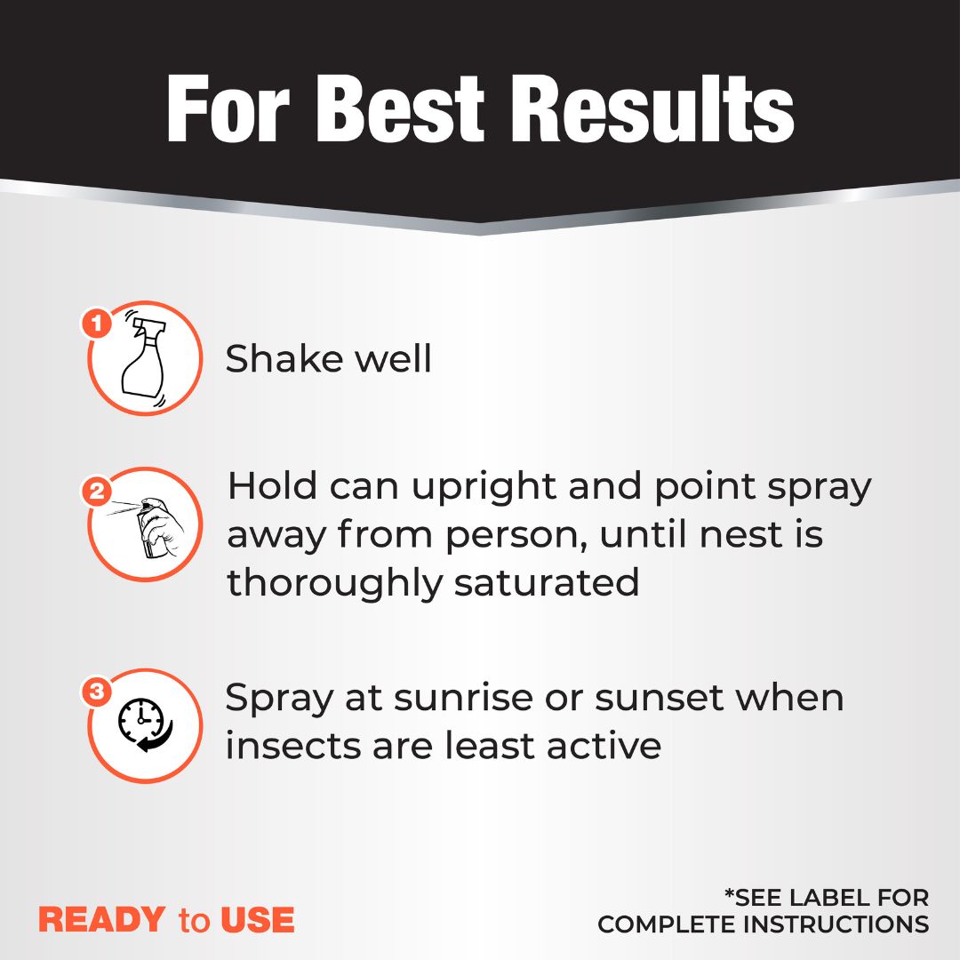 Revenge Wasp & Hornet Foam Aerosol – Bonide – 15 oz